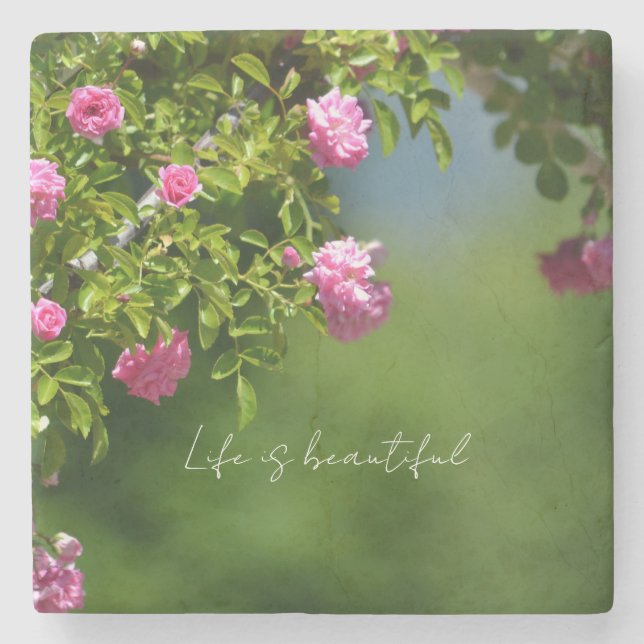 Pink Roses Floral (photography by me) Stone Coaster (Front)