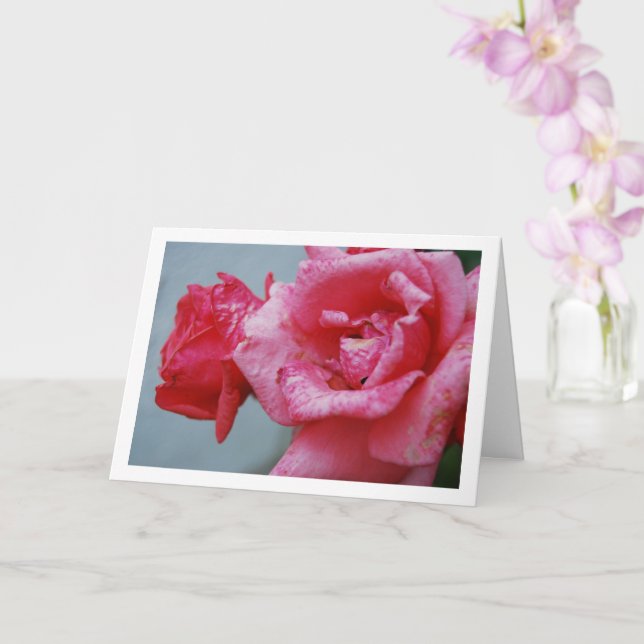 Pink Roses Floral Portrait Card (Orchid)