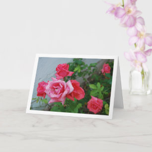 Pink Roses Floral Portrait Card