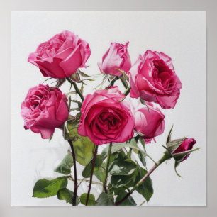 Pink Roses Flower Art Print Poster