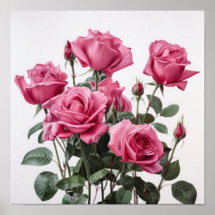 Pink Roses Flower Art Print Poster