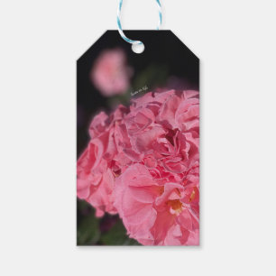 Pink Roses  Gift Tags