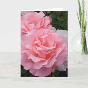 Pink Roses Greeting Card