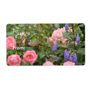 Pink Roses in a Rose Garden