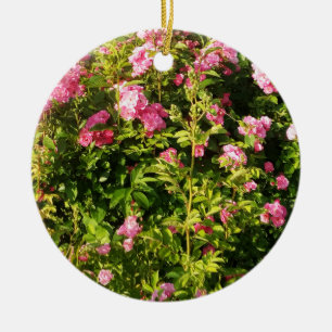 Pink Roses in bloom  Ceramic Tree Decoration