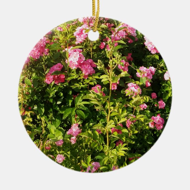 Pink Roses in bloom  Ceramic Tree Decoration (Front)