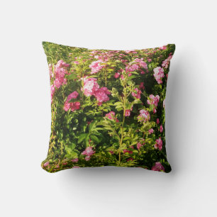 Pink Roses in bloom Cushion
