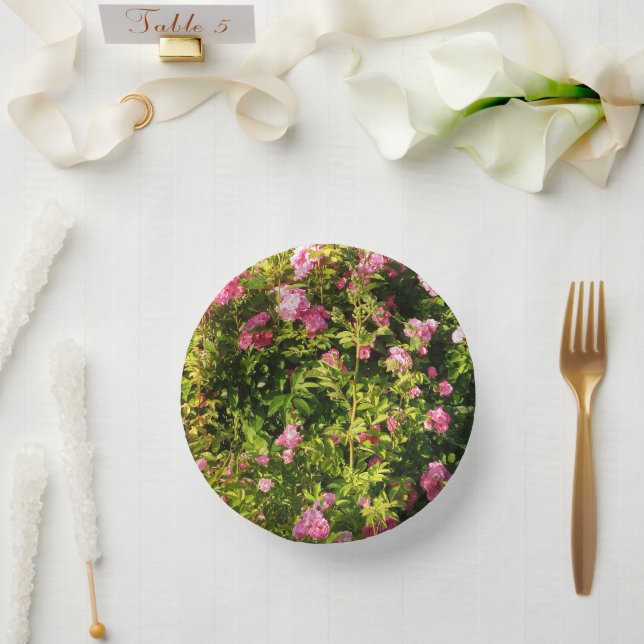 Pink Roses in bloom  Paper Plate (Wedding)