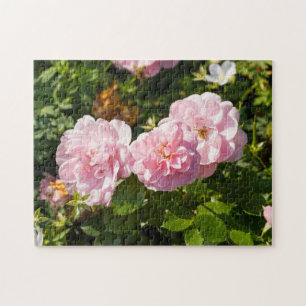 Pink Roses In The Garden Jigsaw Puzzle