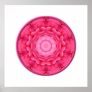 Pink Roses Kaleidoscope Poster