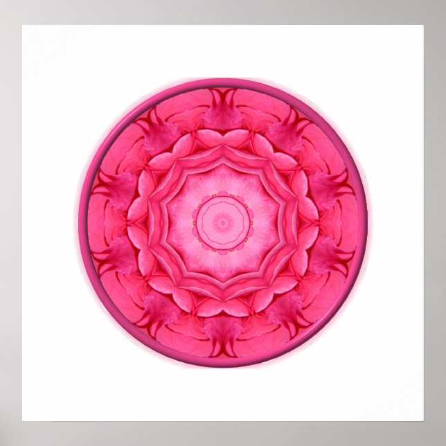 Pink Roses Kaleidoscope Poster (Front)
