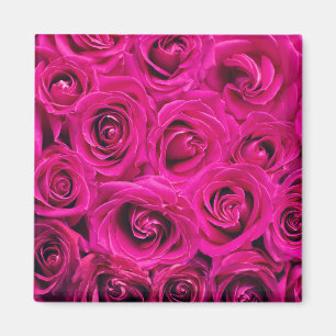 Pink Roses (Love and Romance) Magnet