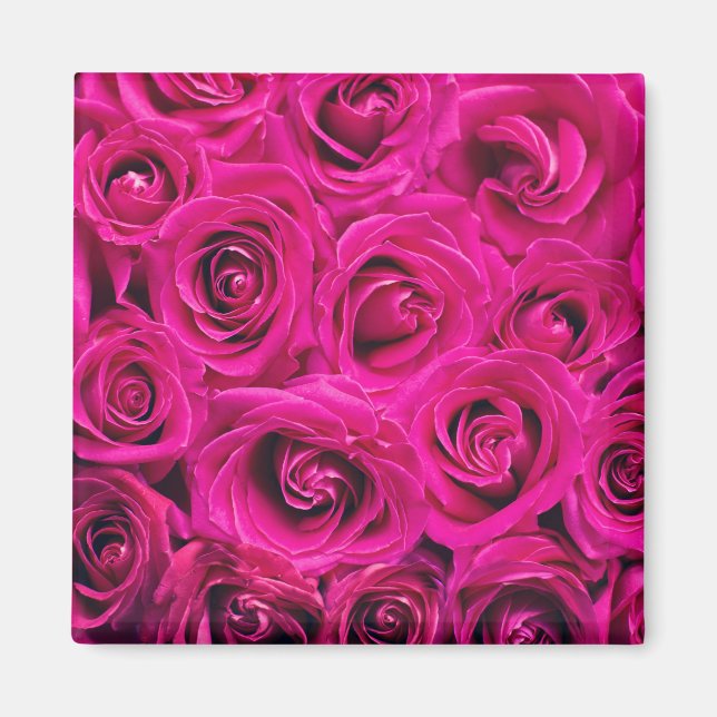 Pink Roses (Love and Romance) Magnet (Front)