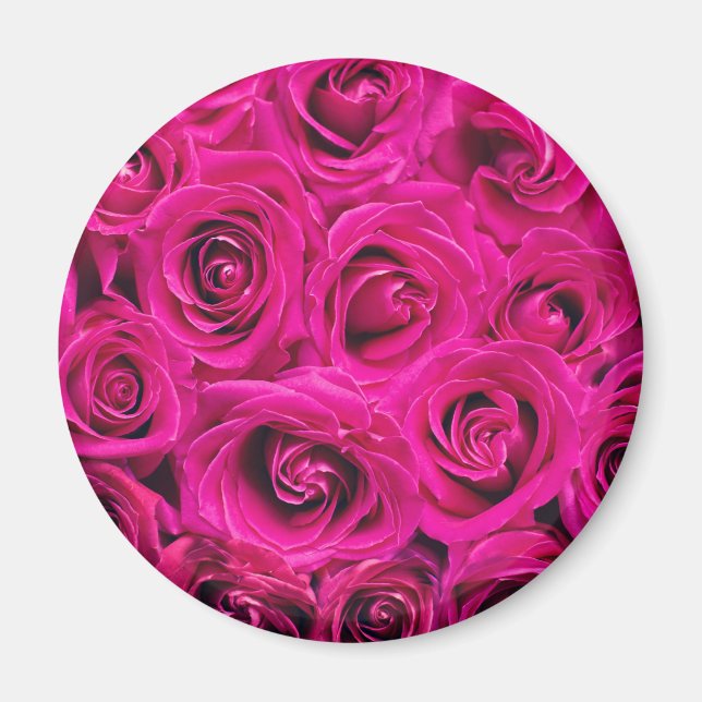 Pink Roses (Love and Romance) Magnet (Front)