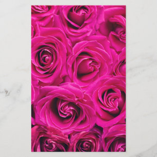 Pink Roses (Love and Romance) Stationery