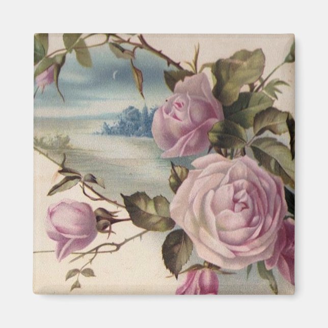 pink roses magnet (Front)