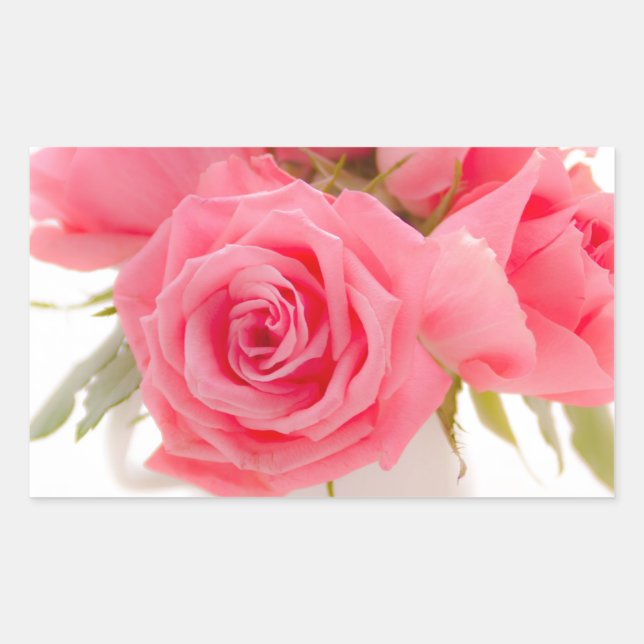Pink roses | mothersday | birthday | rectangular sticker (Front)