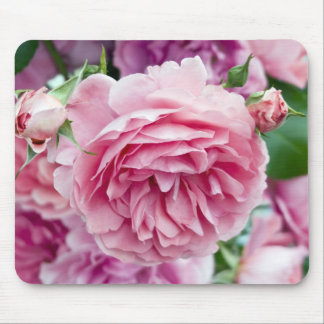 Pink Roses Mouse Pad