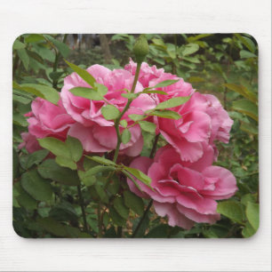 Pink Roses Mouse Pad