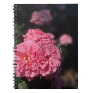 Pink Roses Notebook