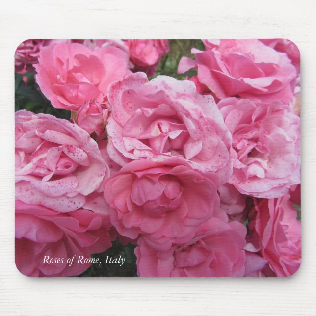 Pink Roses of Rome, Italy Mouse Pad (Front)