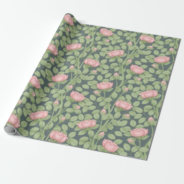 Pink Roses on Slate Blue (large scale) Wrapping Paper (Unrolled)