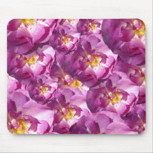 Pink Roses Photo Mousepad