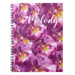 Pink Roses Photo Photo Notebook