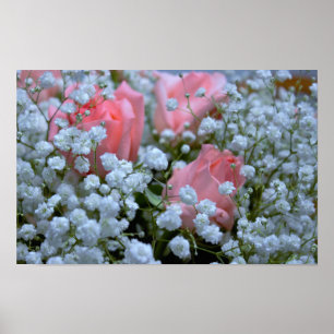 Pink Roses Photo Poster
