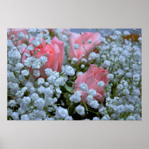 Pink Roses Photo Poster