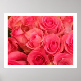 Pink Roses Photo Poster