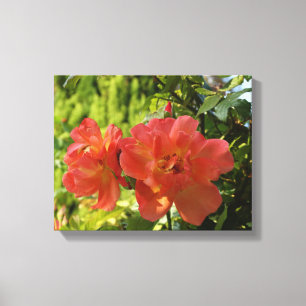 Pink Roses Photography Canvas Print