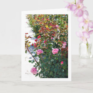 Pink Roses Portrait Card