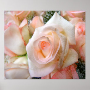 Pink Roses Poster
