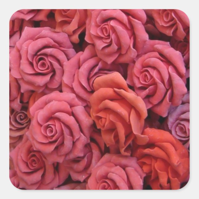 Pink roses square sticker (Front)