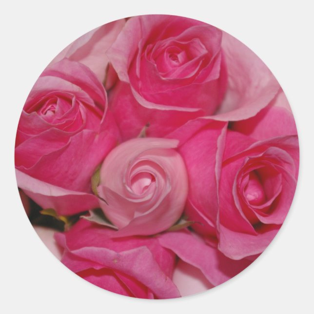 Pink Roses - Stickers (Front)