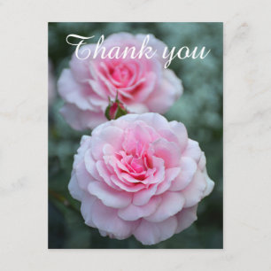 Pink roses thank you card