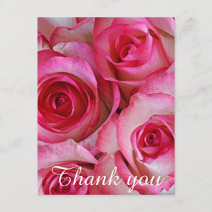 Pink roses thank you card