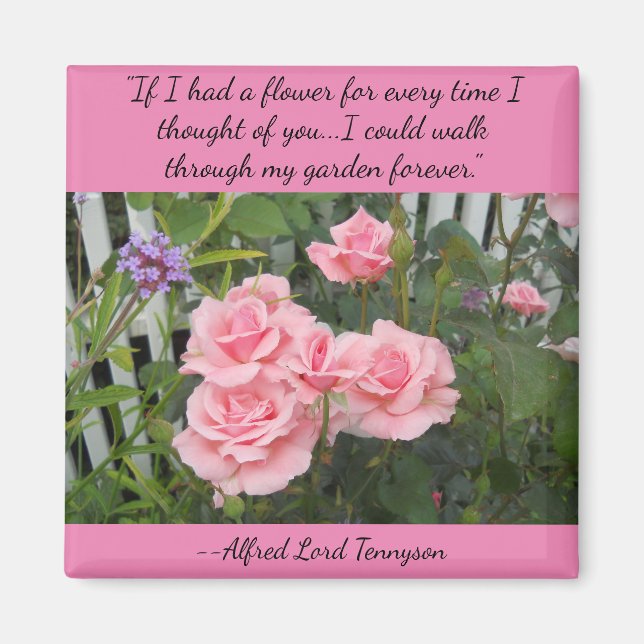 Pink Roses Thoughts of You Square Magnet (Front)
