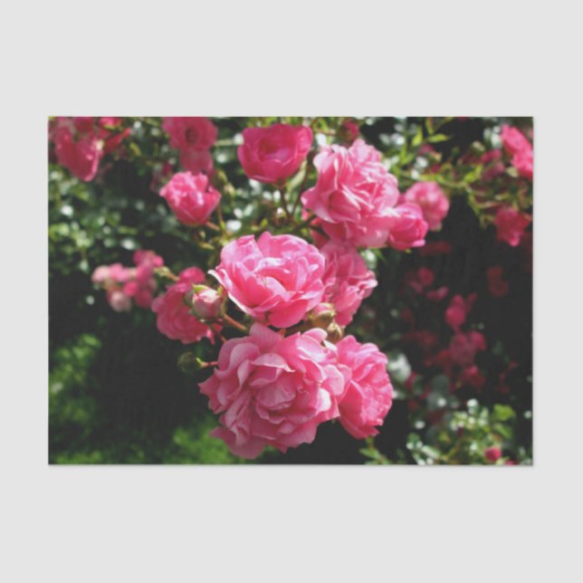 pink roses tissue paper (Front)