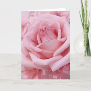 Pink roses VI Holiday Card