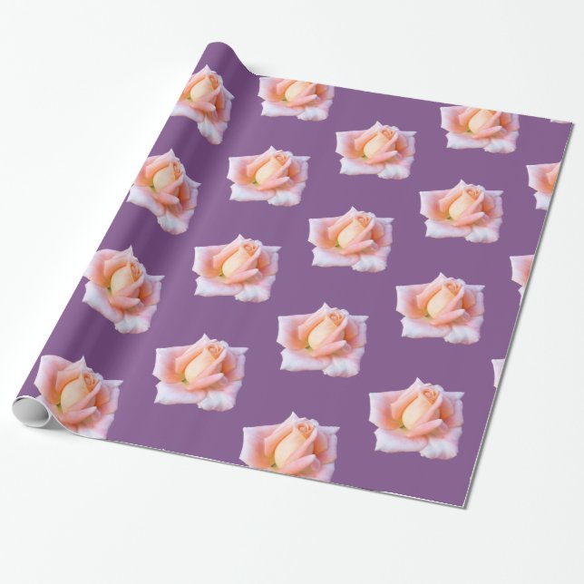 Pink Roses Wrapping Paper (Unrolled)