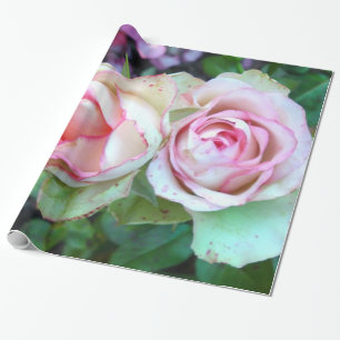 Pink Roses Wrapping Paper