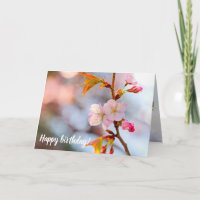 Pink Sakura Against The Grayish Background