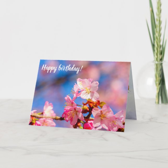 Pink Sakura Blossoms On A Sunny Day Of Spring Card (Front)