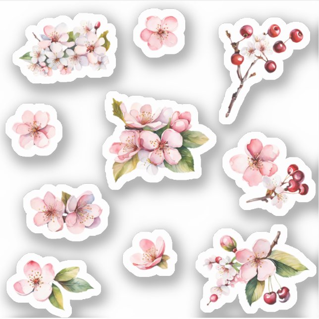 Pink Sakura Cherry Blossoms Flowers Sticker Pack (Front)