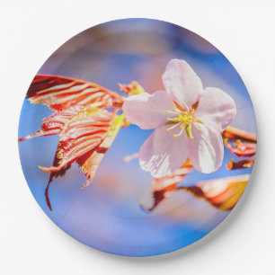 Pink Sakura Flower Blue Sky Paper Plate
