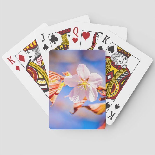 Pink Sakura Flower Blue Sky Playing Cards (Back)