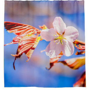 Pink Sakura Flower Blue Sky Shower Curtain