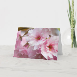 Pink Sakura Flowers Card